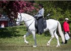 Pferd International 045